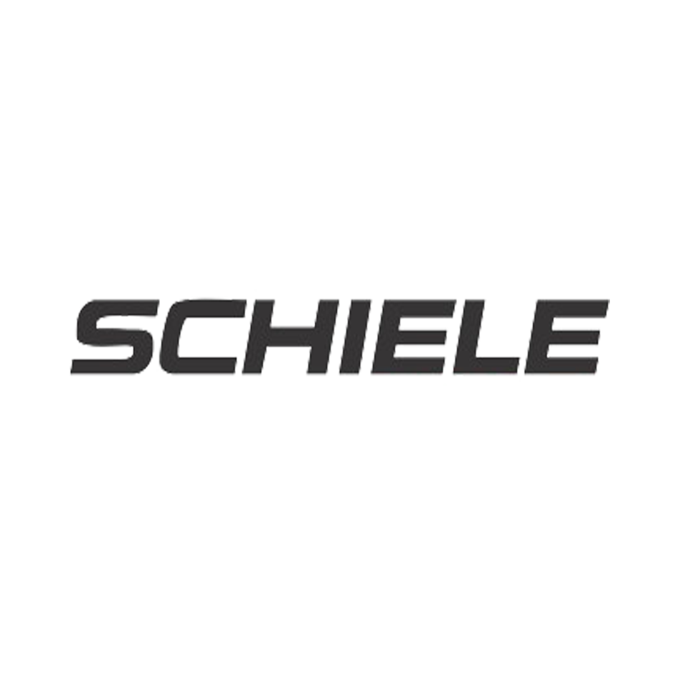 شیله | Schiele
